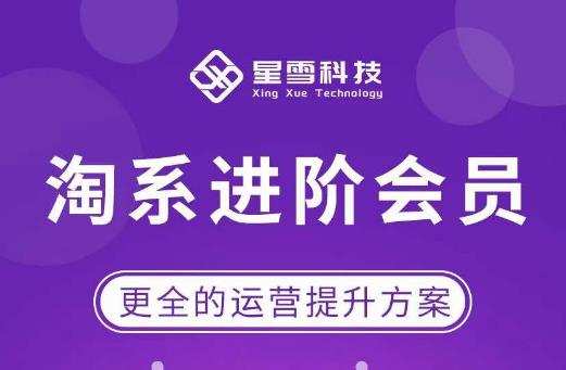星雪·淘系进阶课程,快速提升突破技能流量瓶颈必备(更新2023年5月)
