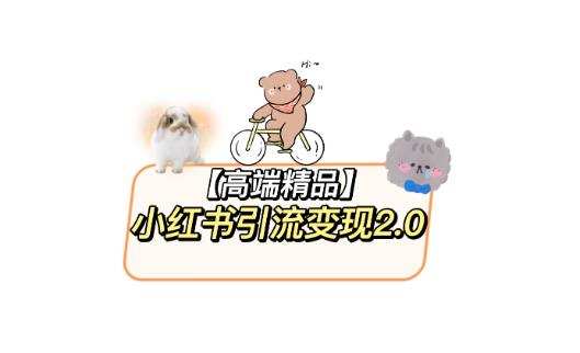 小红书最新引流变现教程,全网最新最详细的视频教程以及素材