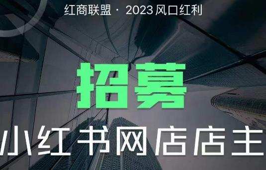 红商联盟·小红书无货源电商1.0,0粉丝无需囤货,小白也可以轻松上手的无货源项目