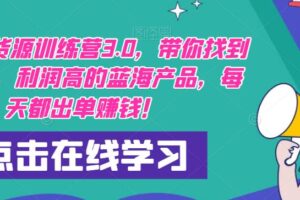 【推荐】闲鱼无货源训练营3.0，带你找到竞争小，利润高的蓝海产品，每天都出单赚钱！（更新）