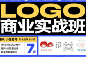 小强&豌儿商业LOGO实战班第7期2022【画质高清只有视频】