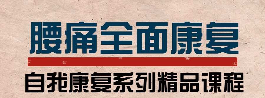 腰痛运动康复:教练与患者必学 1 1635404097 腰痛运动康复:教练与患者必学