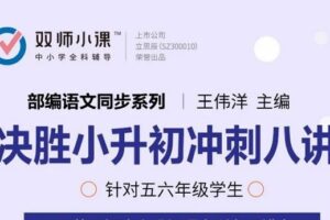 双师小课-王伟洋 决胜小升初语文冲刺八讲