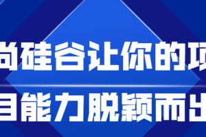 尚硅谷让你的项目能力脱颖而出