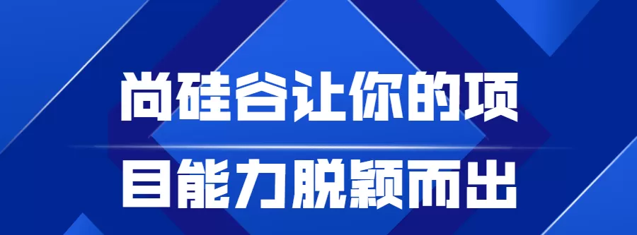 尚硅谷让你的项目能力脱颖而出 1 1642836996151429