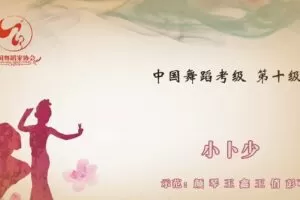 舞蹈家协会第四版中国舞考级第10级 