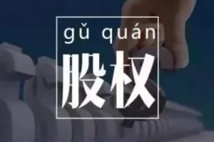 臧其超-股权设计与盈利体系 20节视频