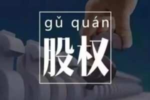 臧其超-股权设计与盈利体系 20节视频