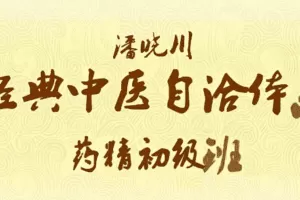 河图与经典中医4讲