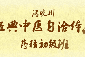 河图与经典中医4讲