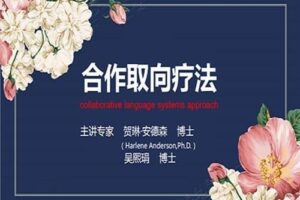 贺琳·安德森&吴熙娟 精解合作取向疗法