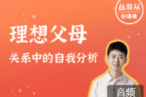 丛非从 理想父母：关系中的自我分析