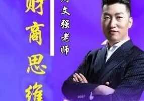 周文强 顶级财商思维课 22集视频