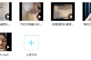梅花无影针落脏辨证【秒瘦针绝技】
