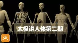 太极人体造型核心培训班第二期【画质高清有部分素材】