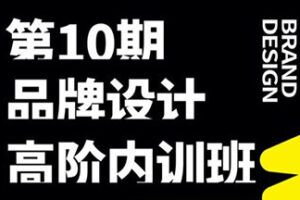 卢帅2022第十期品牌设计高阶内训班【画质不错有素材】