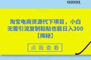 淘宝电商资源代下项目，小白无需引流复制粘贴也能日入300＋【揭秘】