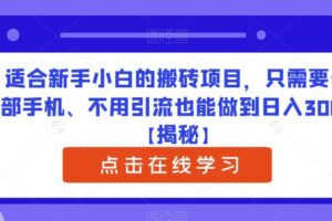 适合新手小白的搬砖项目，只需要一部手机、不用引流也能做到日入300+【揭秘】