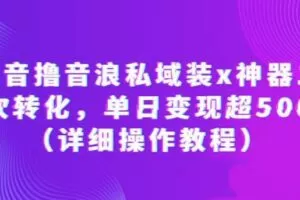 抖音撸音浪私域装x神器二次转化，单日变现超500（详细操作教程）【揭秘】
