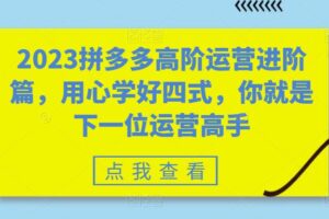 2023拼多多高阶运营进阶篇，用心学好四式，你就是下一位运营高手