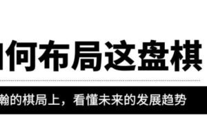 某公众号付费文章《如何布局这盘棋》在浩瀚的棋局上，看懂未来的发展趋势