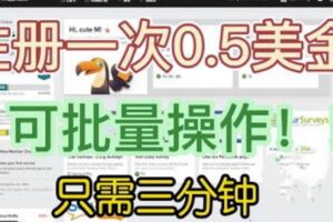 国外项目注册一次0.5美金，只需三分钟无脑操作，可批量同时放大操作，小白工作室福利【揭秘】