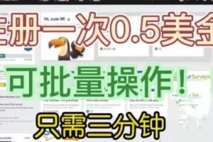国外项目注册一次0.5美金，只需三分钟无脑操作，可批量同时放大操作，小白工作室福利【揭秘】