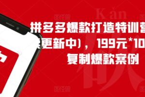 拼多多爆款打造特训营（持续更新中)，199元*100套可复制爆款案例