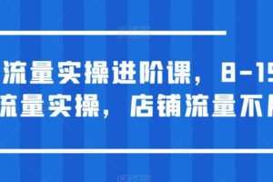 淘宝流量实操进阶课，8-15天放大流量实操，店铺流量不用愁