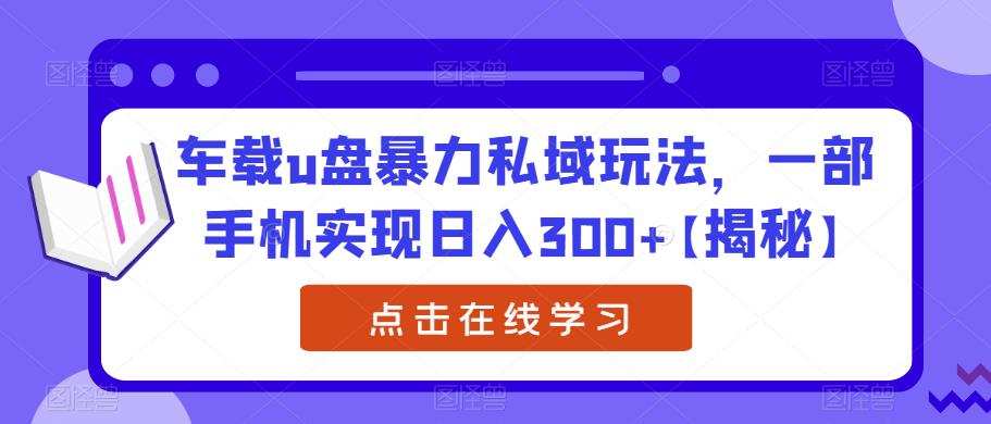 车载u盘暴力私域玩法,一部手机实现日入300+【揭秘】