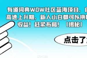有道词典WOW社区蓝海项目，目前高速上升期，新人小白都可以换取高收益！赶紧布局！【揭秘】
