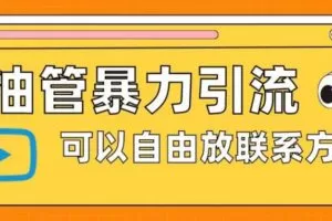 油管暴力引流，可以自由放联系方式【揭秘】