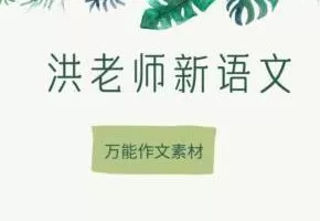 洪老师 语文专项练习试题和作文素材