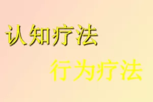 杨发辉•认知行为治疗系统培训项目