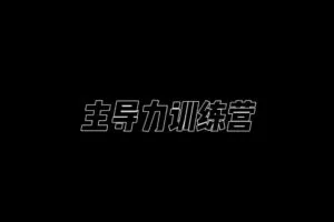 昊哥《主导力训练营》