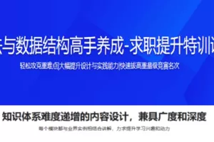 算法与数据结构高手养成-求职提升特训课