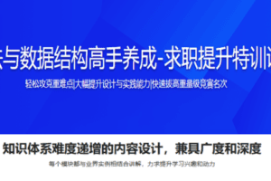 算法与数据结构高手养成-求职提升特训课