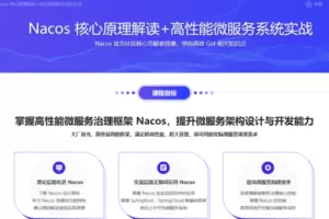 Nacos 核心原理解读+高性能微服务系统实战