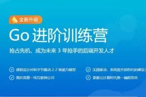 Go开发者的涨薪通道，自主开发PaaS平台核心功能