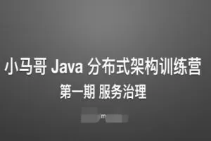 小马哥 Java 分布式架构训练营 – 第一期 服务治理