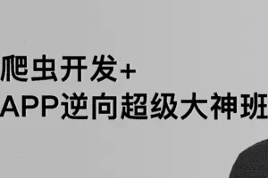 路飞学城爬虫&逆向三期课程