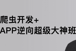 路飞学城爬虫&逆向三期课程