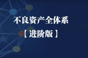 不良资产全体系