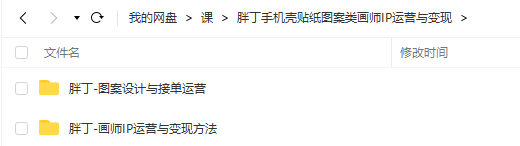 【缺课】胖丁画师IP运营与变现方法+图案设计与接单运营【画质不错只有视频】