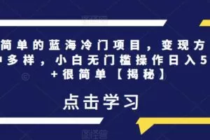 超简单的蓝海冷门项目，变现方式多种多样，小白无门槛操作日入500+很简单【揭秘】