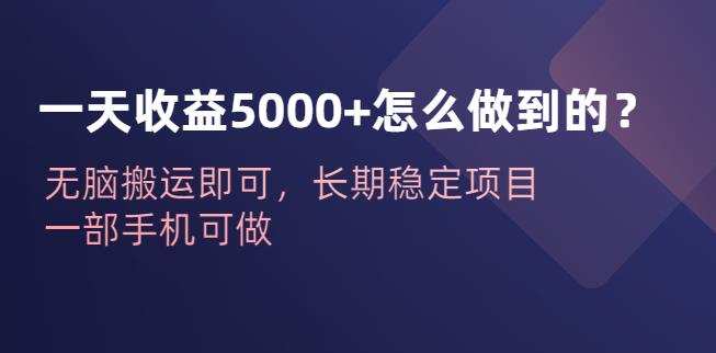 一天收益5000+怎么做到的？无脑搬运即可，长期稳定项目，一部手机可做【揭秘】