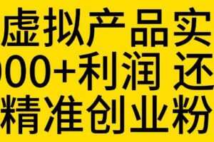 拼多多虚拟产品实操流程，月产5000+利润，还能引流精准创业粉【揭秘】