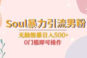 Soul暴力引流男粉玩法，无脑粗暴日入500＋，0门槛即可操作【揭秘】