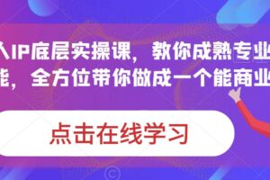 蟹老板·打爆个人IP底层实操课，教你成熟专业的打造IP技能，全方位带你做成一个能商业化IP