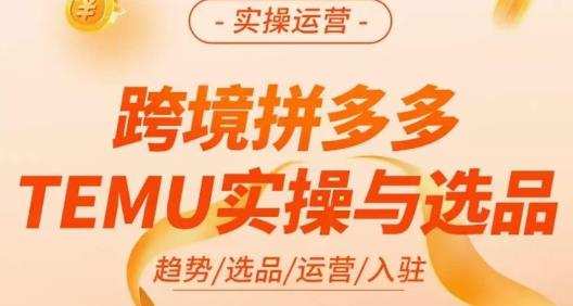 伍跃·跨境拼多多TEMU实操与选品,趋势/选品/运营/入住(27节完整)